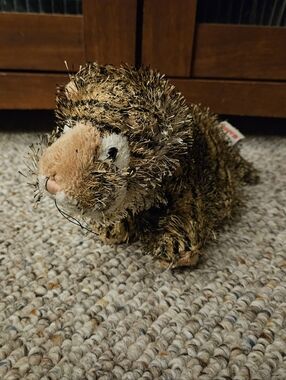 Webkinz Lil Kinz Tiger